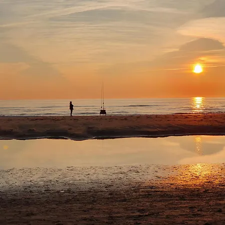 Duinwald, Geschikt Voor 8 Personen Bergen