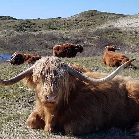 Tatil Evi Duinwald, Geschikt Voor 8 Personen Bergen