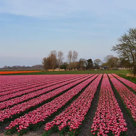 Tatil Evi Duinwald, Geschikt Voor 8 Personen